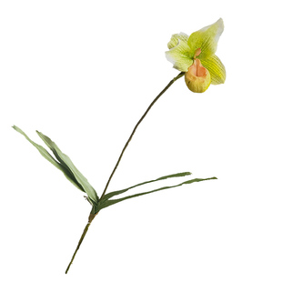 仿真花兜兰盆栽家居桌面装饰兰花客厅高品质插花高级感样板间道具