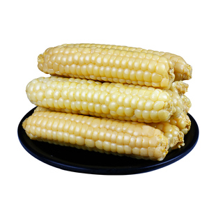 5斤云南西双版纳拇指小玉米新鲜傣家香糯小手指迷你袖珍儿童玉米