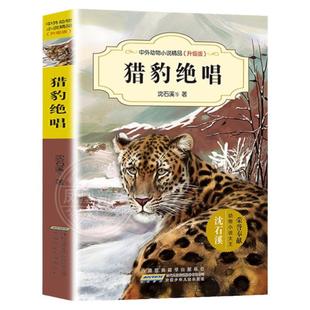 猎豹绝唱-中外动物小说精品(升级版) 沈石溪 安徽少年儿童出版社