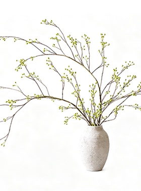 掬涵山归来干花仿真花假花插花装饰蔷薇浆果仿生花束客厅餐桌花艺