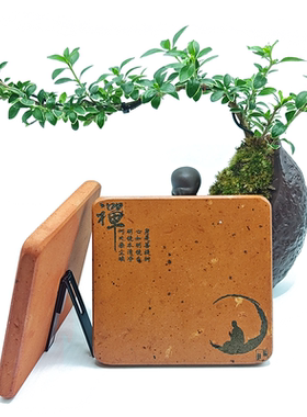 闽南红砖雕刻杯垫禅意桌面摆件泉州文创记念品鲤物伴手礼浔埔簪花