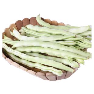 新鲜白豆角白芸豆农家扁豆现摘现发新鲜蔬菜白不老豆角现货速发