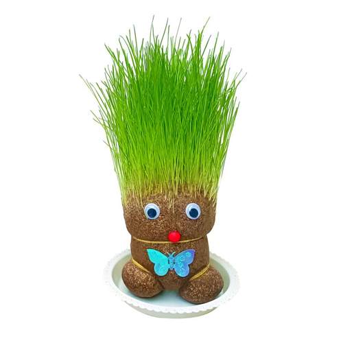 草头娃娃小盆栽长草娃娃头发办公室绿植水培幼儿园儿童种植种草