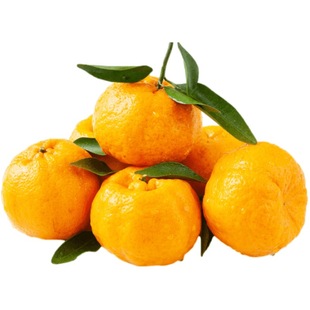 湖北宜昌长阳清江蜜桔新鲜水果箱装30个纯甜无渣超特果椪柑芦柑甜