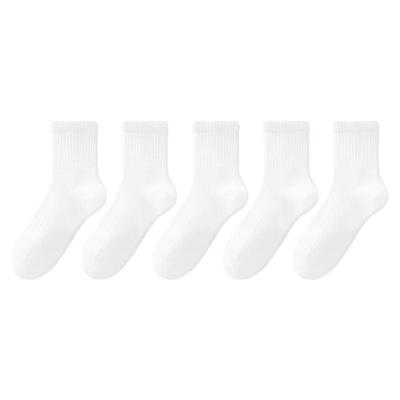 尼多熊儿童白色袜子纯棉春夏薄款