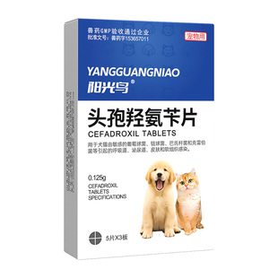 阳光鸟宠物猫咪狗狗头孢羟氨苄片消炎药外伤感冒鼻支耳炎口炎感染