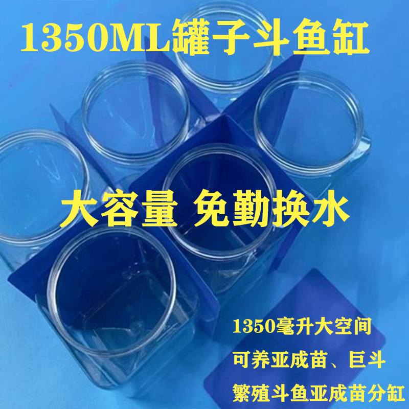 斗鱼1350罐子大容量带盖四方形方形塑料罐子繁殖加厚亚成斗巨