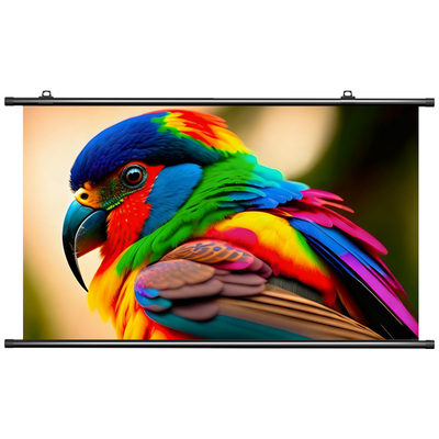 免打孔简易可移动投影幕布