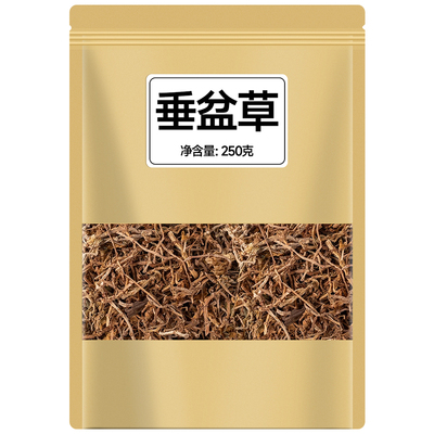 垂盆草中药材正品泡茶野生500g