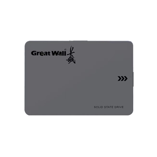 Great Wall/长城GW560全新512G1T2T固态硬盘2.5寸SSD硬盘