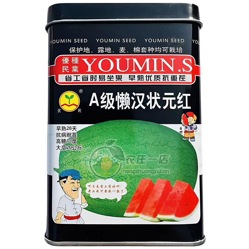 懒汉状元红西瓜种子耐重茬免整支