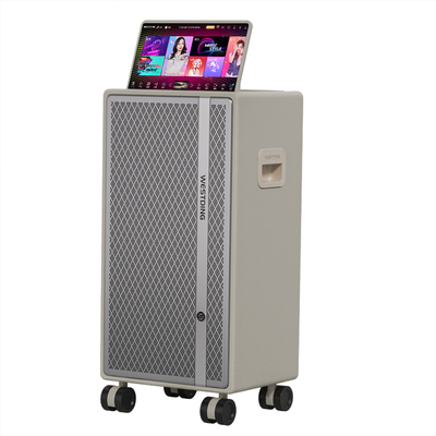 威斯汀S700高端户外K歌音响