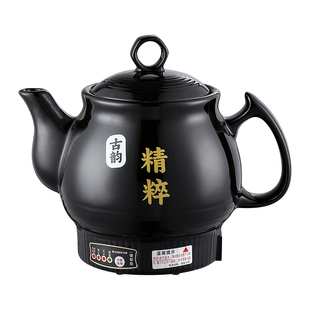 志高中药电煎壶煎药壶全自动熬药家用熬中药电砂锅中医煮炖药罐