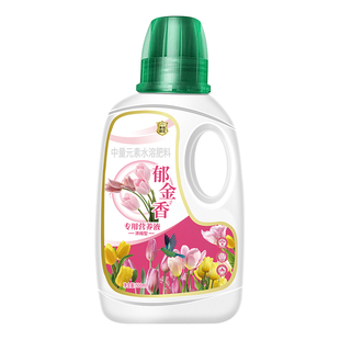 郁金香营养液种球爆芽郁金香肥料专用肥花肥水培植物风信子营养液