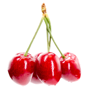 四川玛瑙红樱桃树苖车厘子树苗北南方种植樱桃苗树水果树果苗大全