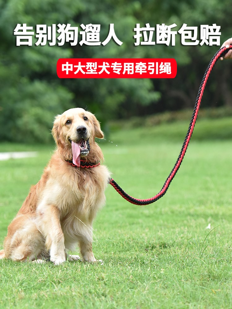 狗狗项圈大型犬拉布拉多金毛宠物颈圈中小型犬泰迪狗项圈脖圈脖套