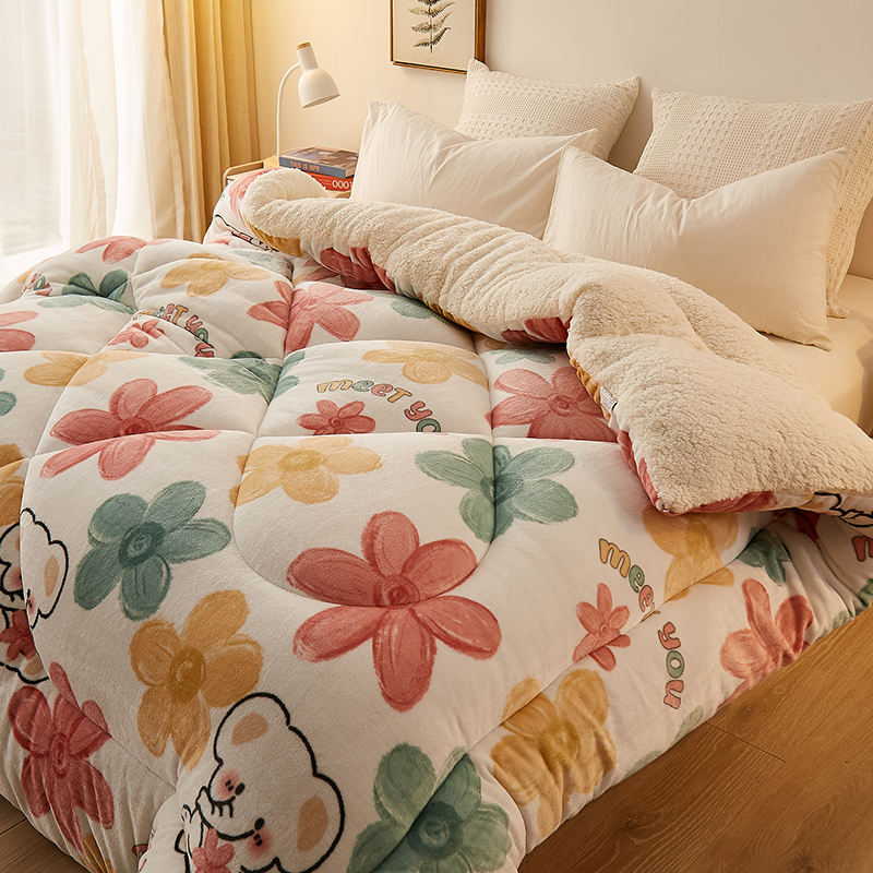 羊羔绒毛毯被子冬季加厚毯子床上用单人学生宿舍珊瑚法兰绒床盖i.