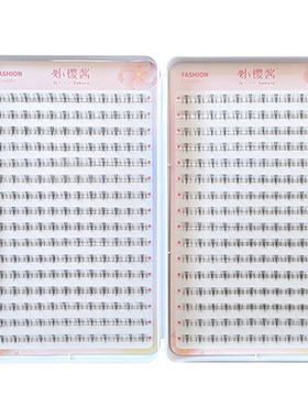 【小樱酱睫毛书合集】太阳花小火苗小野猫狐系懒人仿真自然假睫毛