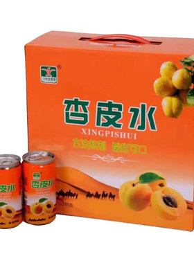 甘肃特产兰州风味临洮马家窑康源杏皮水  果味饮料一箱拉环装包邮