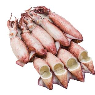 顺丰速运 4斤海兔带籽海鲜水产【只只满籽】新鲜冷冻全籽乌贼生鲜