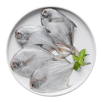 海捕冷水白鲳鱼 800g (6-7条/袋)