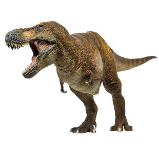 PNSO霸王龙威尔逊恐龙博物馆1比35科学艺术模型