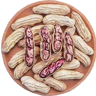 2025新货七彩花生米晒干带壳云南普洱咸干五彩花生牛奶花生种子籽