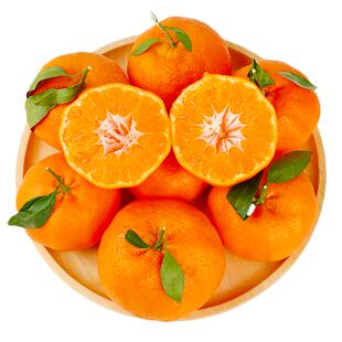 四川甘平柑橘皇后正宗新鲜当季水果现摘现发整箱大耙耙粑粑甘橘子