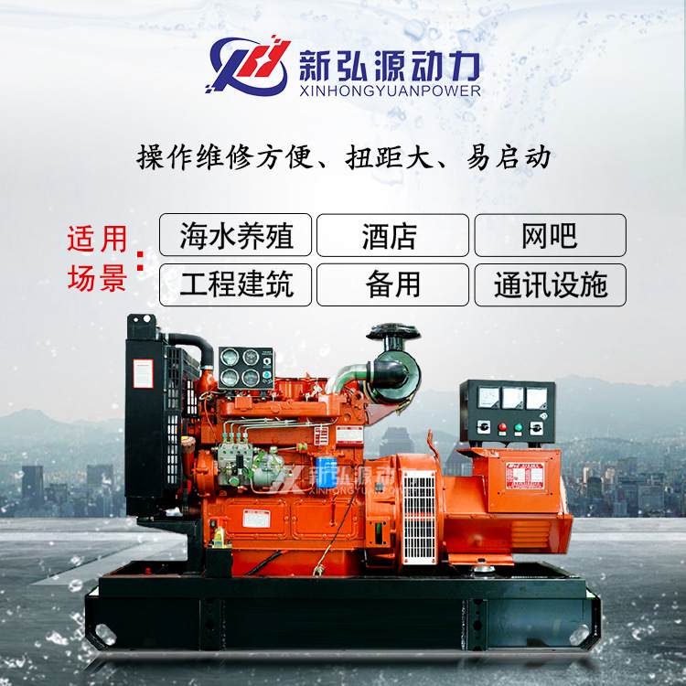 里卡多50KW柴油发电机组 国产双电压永磁无刷50千瓦潍坊发电机组