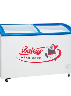 白雪商用卧式玻璃门冰激凌柜展示