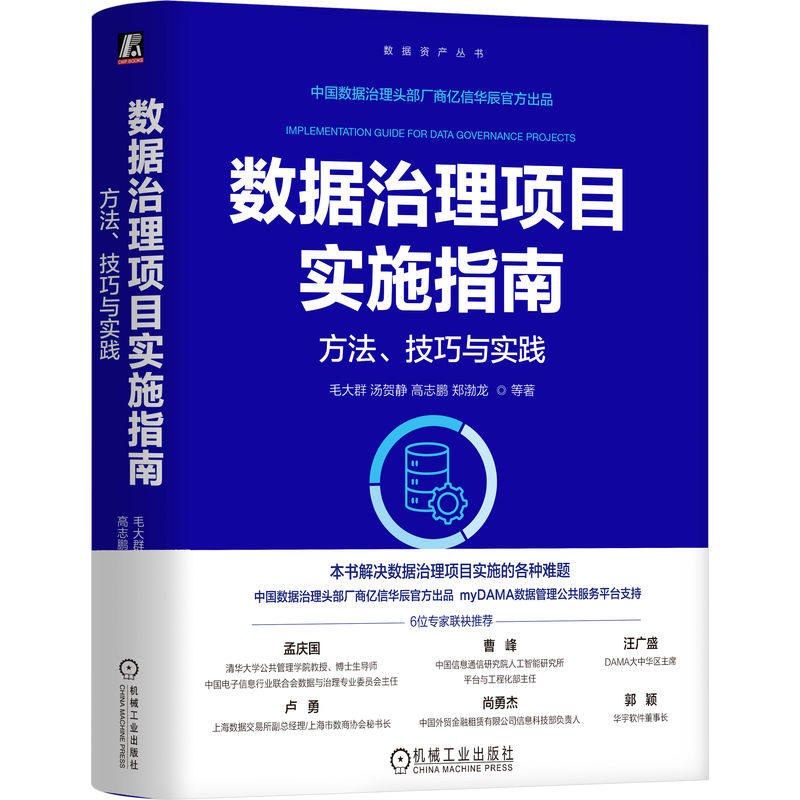 官网正版 数据治理项目实施指南:方法、技巧与实践 毛大群 汤贺静 高志鹏 郑渤龙 数据要素 数据资产入表 数据资产管理 评估