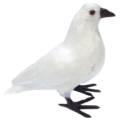 仿真鸽子模型摆件白鸽和平鸽鸟类