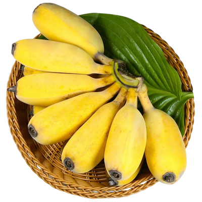 广西小米蕉香蕉芭蕉当季水果