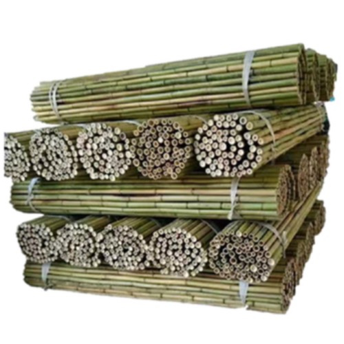 竹竿菜园搭架蔬菜黄瓜番茄豆角架杆竹篱笆栅栏小竹子细竹竿爬藤架