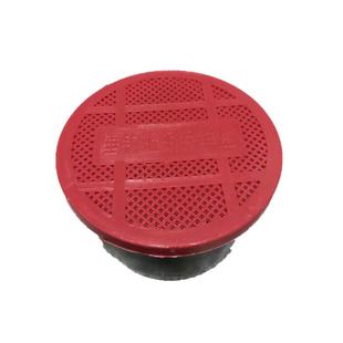 红蚯蚓活饵蚯蚓活体钓鱼盒装蚯蚓红蚯蚓鱼饵鲫鱼野钓饵料散装包活