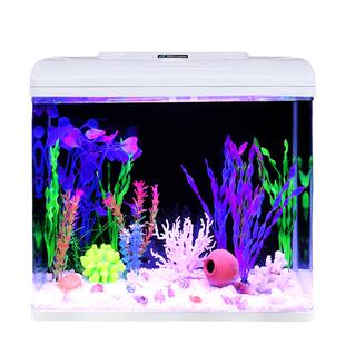 初迪2025新款自循环金鱼缸玻璃小型桌面客厅家用免换水生态水族箱