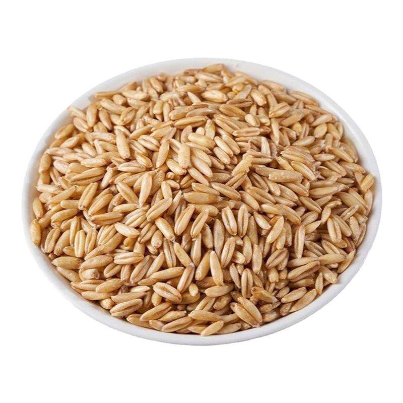燕麦米鹦鹉粮玄凤小太阳专用燕麦鸟粮饲料和尚鹦鹉燕麦鹦鹉鸟粮