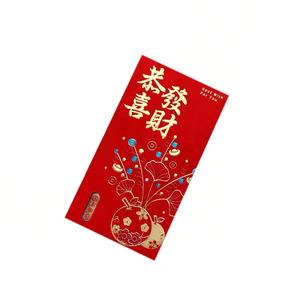 过年压岁钱新年红包红包袋
