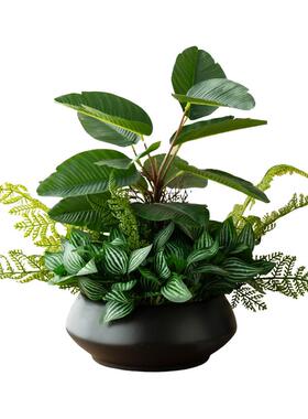 仿真绿植盆栽客厅茶几桌面摆件室内高级装饰假花餐厅酒店橱窗造景