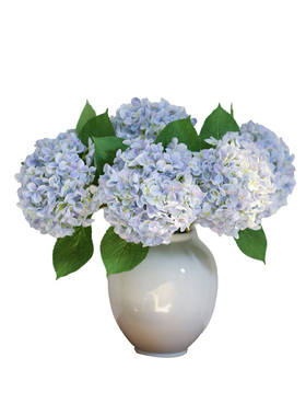 高品质3D打印仿真花绣球花