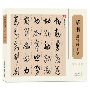 草书速写四千字常用速查 四千字笔画顺序检字表以及213偏旁部首编排 中国汉字书法速查检索词典 初学者入门简明便捷行草篆书字帖