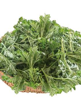 新鲜艾叶草食用艾草叶青团清明果专用嫩芽鲜艾草野生艾蒿艾叶现摘
