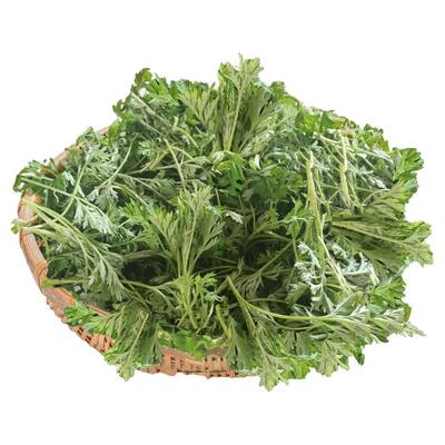 新鲜食用艾草叶青团专用嫩芽艾鲜艾草野生蒿菜社饭小艾草艾蒿粑粑