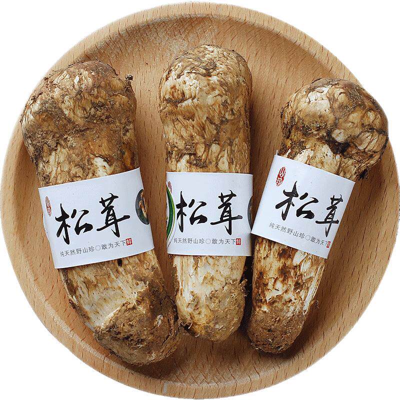 【中秋送礼】香格里拉新鲜松茸菌
