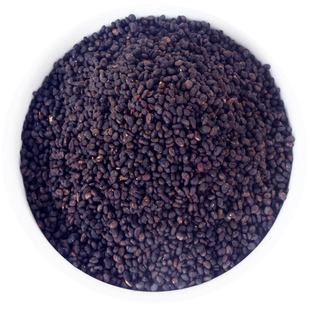 中药材补骨脂 辅骨脂破故纸黑故子250克老谢肉桂经方药材