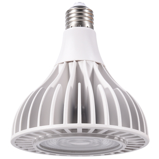 植物生长灯仿太阳全光谱灯泡爆藻家用上色室内日照多肉专用补光灯