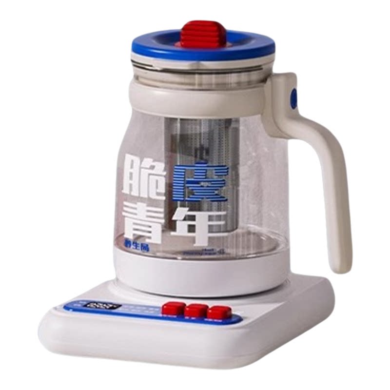 蓝宝泡养生壶小型多功能花茶壶
