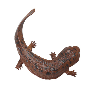 仿真实心两栖动物娃娃鱼大鲵儿童玩具模型认知沙盘摆件