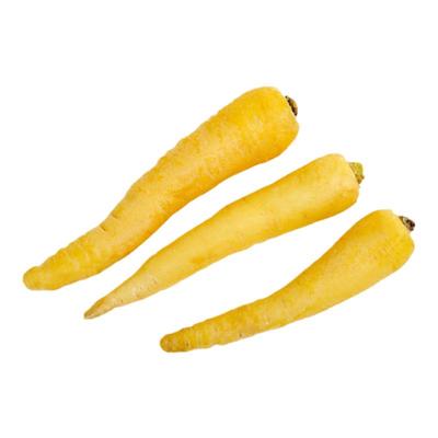 蔬菜黄色阳台四季胡萝卜种子