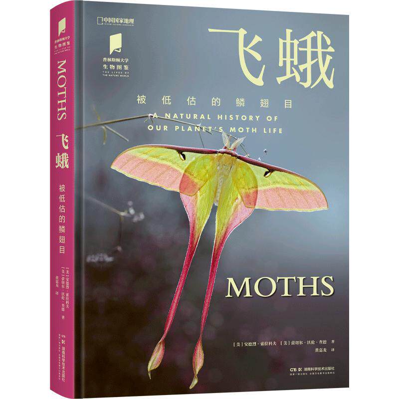 飞蛾被低估的鳞翅目 中国国家地理普林斯顿大学生物图鉴系列图书昆虫飞蛾自然百科科普读物